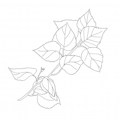 [object Object] undefined