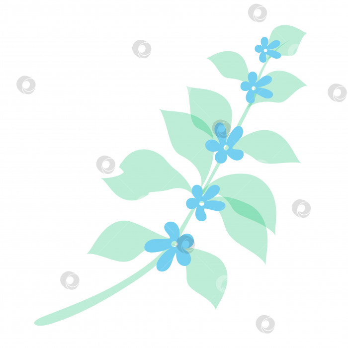 Скачать Веточка маленькие голубые цветы Векторная плоская иллюстрация заготовок для дизайна фотосток Ozero