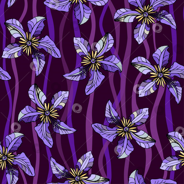 Скачать Векторный бесшовный цветочный узор с фиолетовыми цветами клематиса на фоне волнистых полос, линий. фотосток Ozero