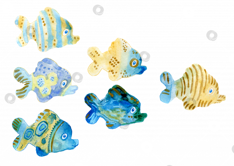 Скачать Акварельная иллюстрация милые рыбки голубой и золотой цвет фотосток Ozero