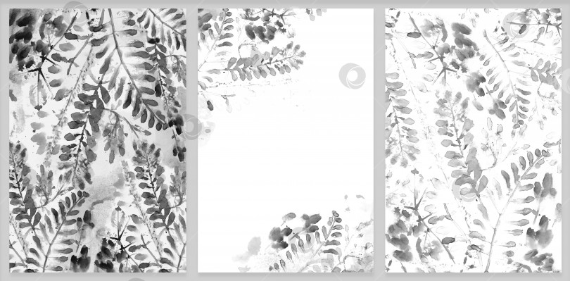Скачать Набор.Акварельные ветви на черно-белом пятнистом фоне фотосток Ozero