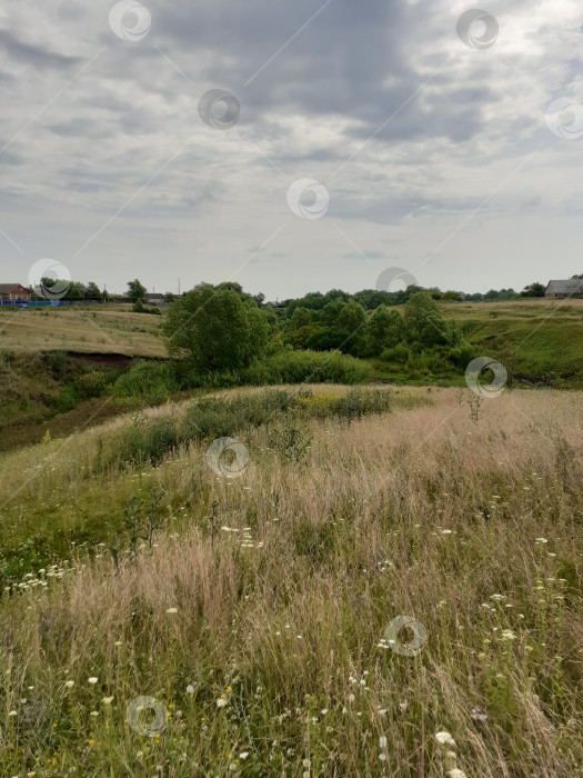 Скачать Лето фотосток Ozero