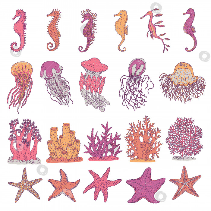 Скачать Морские коньки, медузы, морские звезды и кораллы разных форм. Векторный набор океанских животных подводной жизни. Нарисуйте каракулями линию эскиза изолированных иллюстраций. фотосток Ozero