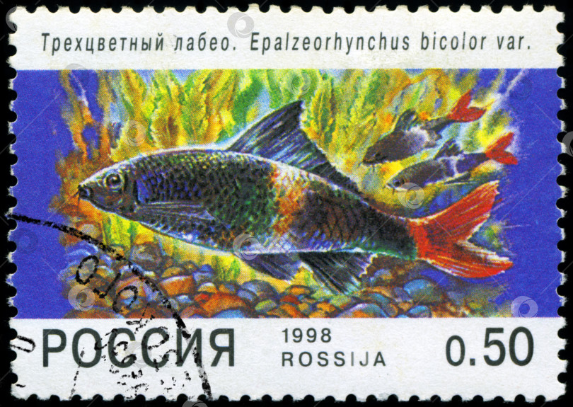 Скачать РОССИЯ - ОКОЛО 1998 года: На почтовой марке, напечатанной в России, изображена рыба. Около 1998 года фотосток Ozero