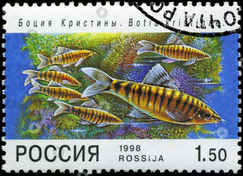 Скачать РОССИЯ - ОКОЛО 1998 года: На почтовой марке, напечатанной в России, изображена рыба. Около 1998 года фотосток Ozero