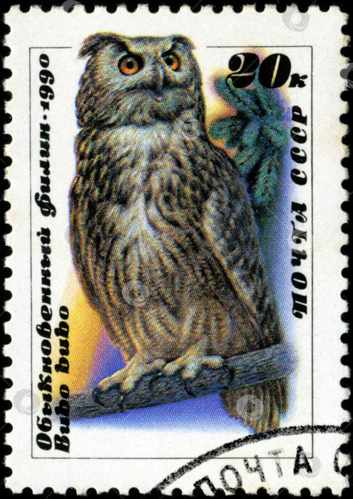 Скачать СССР - ОКОЛО 1990 года: Марка, напечатанная в СССР, с изображением совы, около 1990 года фотосток Ozero