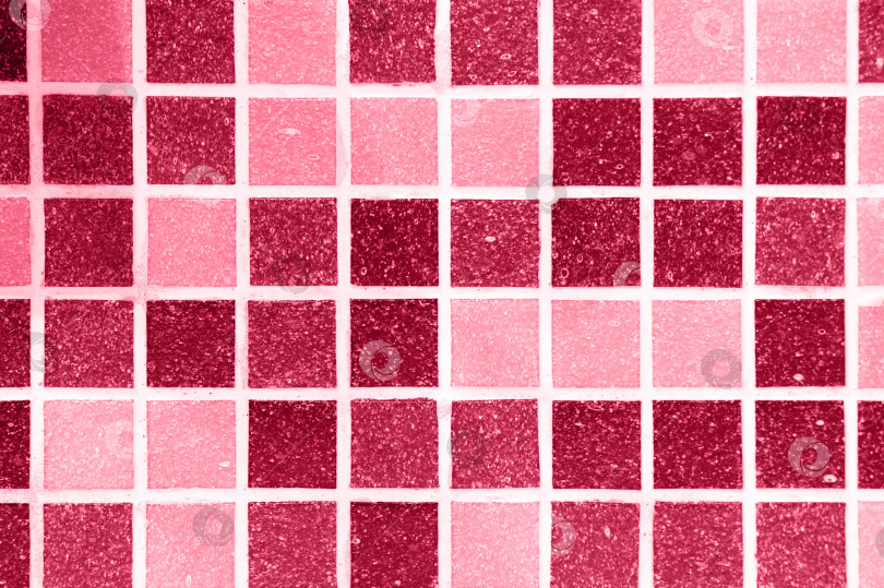 Скачать белые швы между керамической плиткой в ванной комнате. очистка от плесени на швах красно-розово-фиолетовых мозаичных плиток. стена душевой комнаты. окрашен в viva magenta, трендовый цвет 2023 года фотосток Ozero