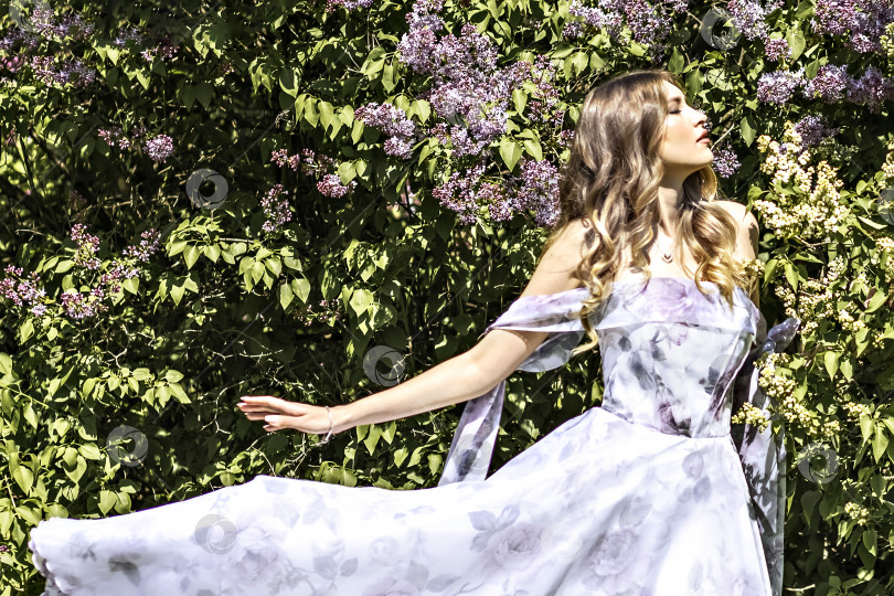 Скачать Портрет молодой девушки в длинном фиолетовом платье среди цветущих сиреневых деревьев в парке. Летнее время, каникулы фотосток Ozero