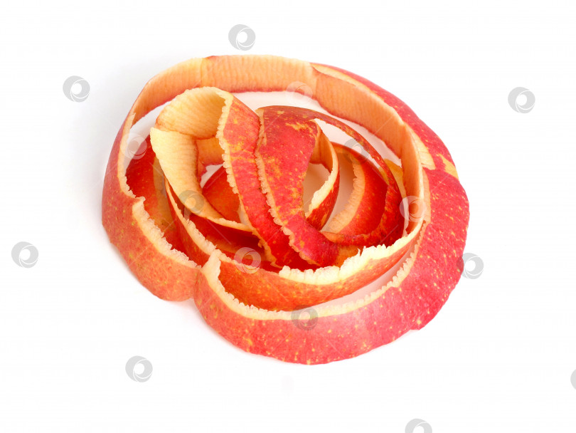 Скачать Очищенная кожура красного яблока представляет собой колечко. фотосток Ozero