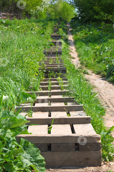 Скачать Деревянная лестница расположена на склоне холма фотосток Ozero