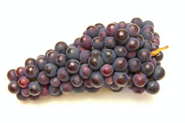 [object Object] undefined