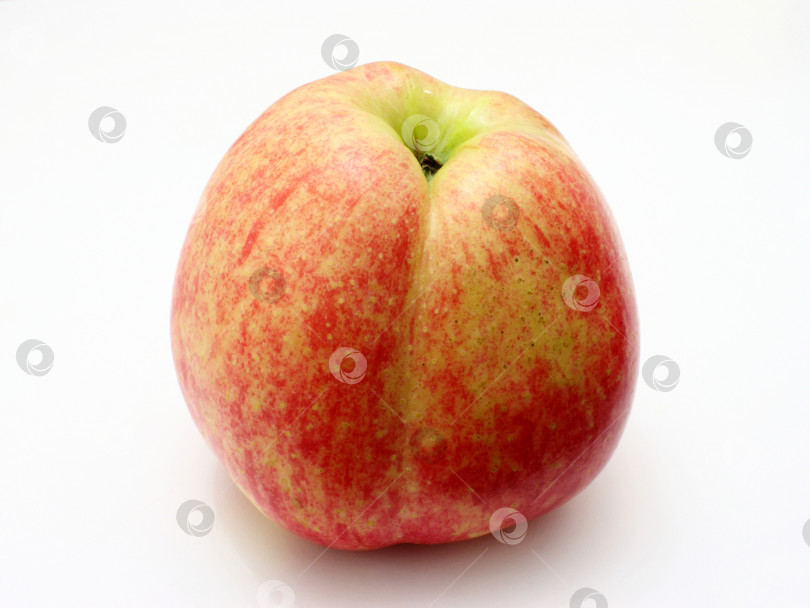 Скачать Свежее красное яблоко, изолированное фотосток Ozero