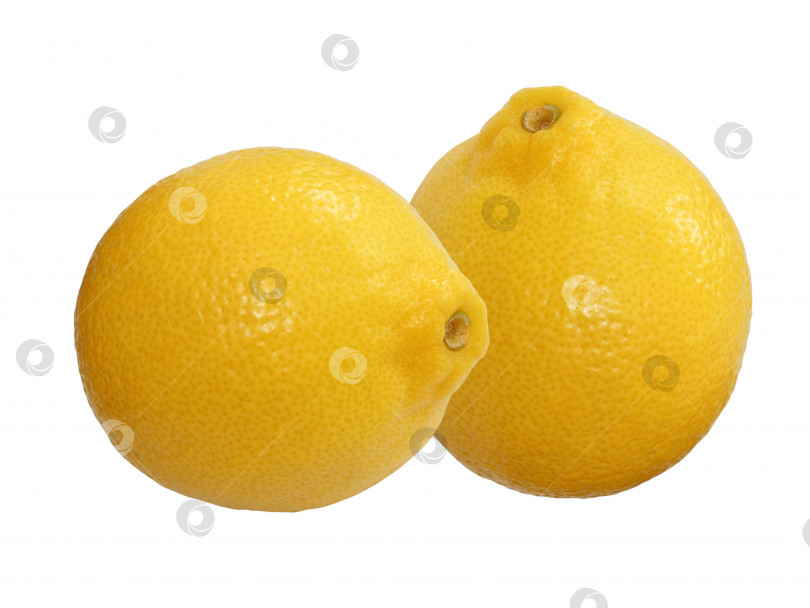 Скачать Свежие спелые лимоны. Изолированный на белом фоне фотосток Ozero