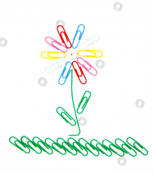 Скачать Цветок из скрепок фотосток Ozero