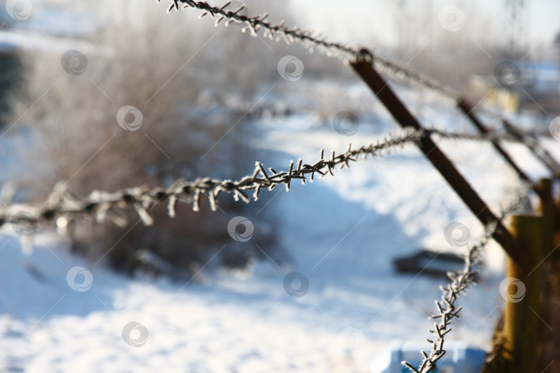 Скачать Металлическая колючая проволока фотосток Ozero