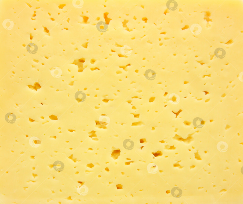 Скачать Фон из свежего желтого швейцарского сыра с дырочками фотосток Ozero