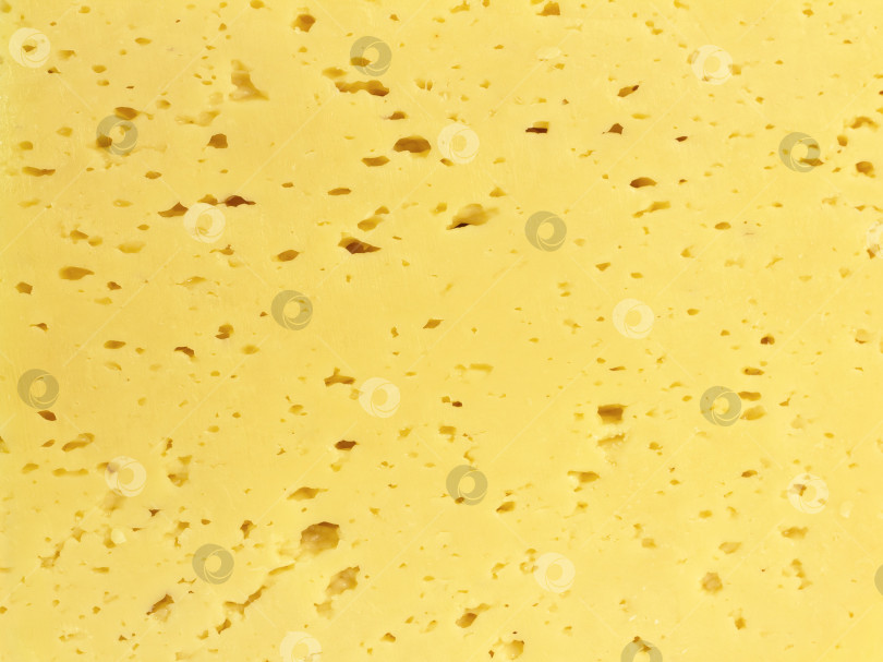 Скачать Фон из свежего желтого швейцарского сыра с дырочками фотосток Ozero