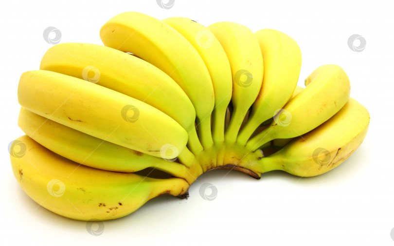 Скачать Гроздь бананов, изолированная на белом фоне фотосток Ozero