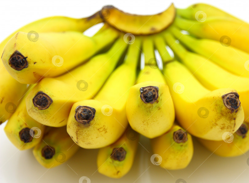 Скачать Гроздь бананов, изолированная на белом фоне фотосток Ozero