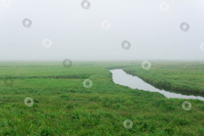 Скачать утренний пейзаж, обширный луг со спокойной рекой среди сочной травы скрыт туманом фотосток Ozero