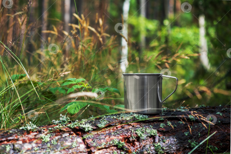 Скачать Металлическая туристическая кружка с горячим напитком стоит на стволе дерева в лесу. фотосток Ozero