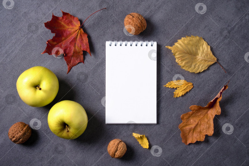 Скачать Осенняя композиция из сухих листьев, яблок, грецких орехов белого цвета. фотосток Ozero
