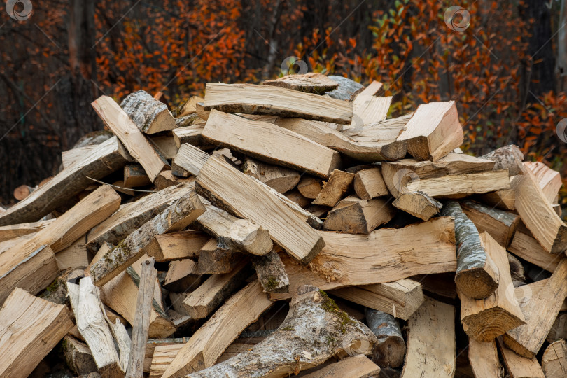 Скачать Наколотые дрова для отопления лежат в куче среди деревьев фотосток Ozero