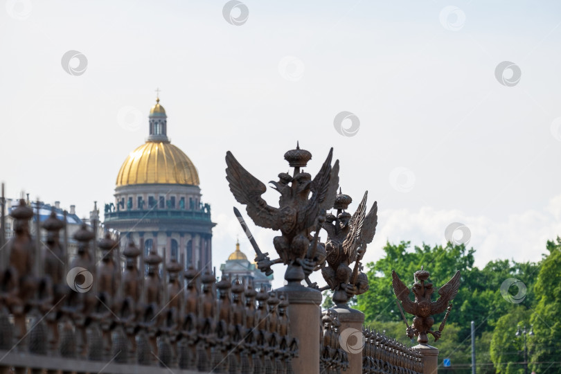 Скачать Вид на купол собора Св. Исаакиевский собор с Дворцовой площади. фотосток Ozero