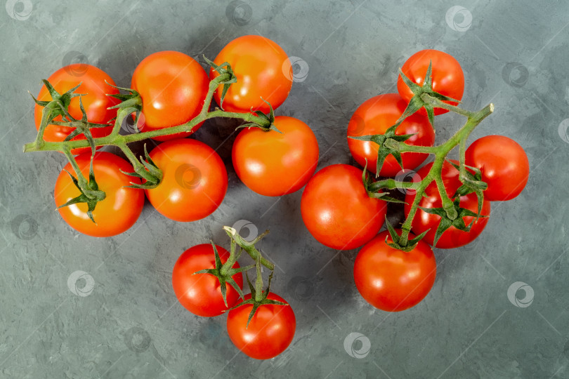 Скачать Ветви свежих спелых помидоров черри на сером фоне фотосток Ozero