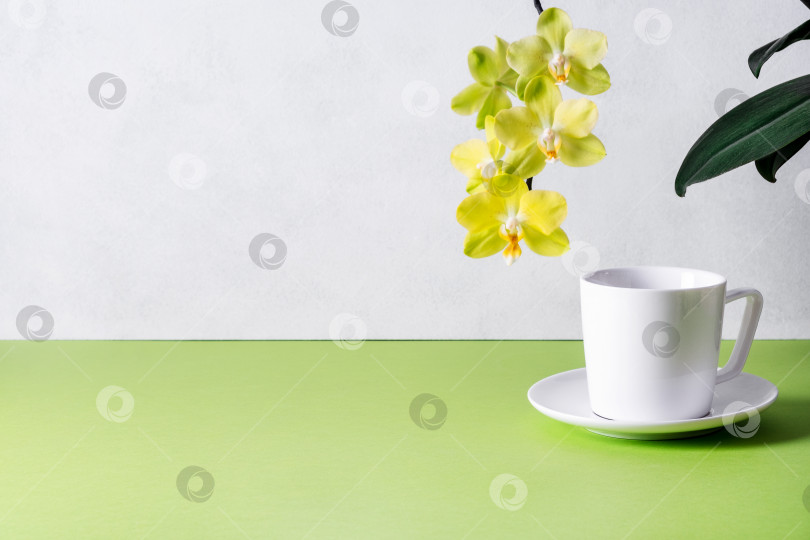 Скачать Белая кофейная или чайная чашка с блюдцем рядом с нежной желтой орхидеей фаленопсис. фотосток Ozero