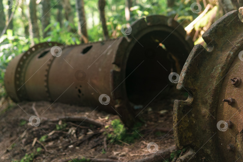 Скачать остатки ржавого промышленного оборудования среди леса фотосток Ozero