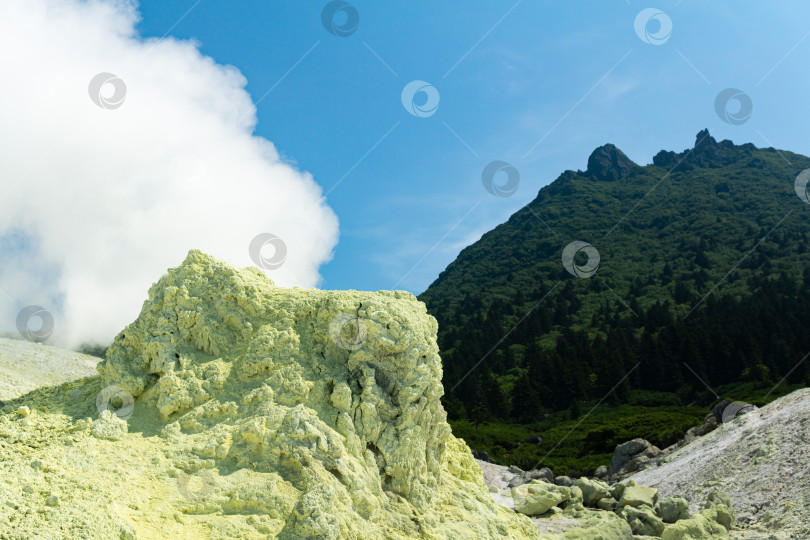 Скачать яркая дымящаяся фумарола с отложениями серы на фоне пика вулкана Менделеева на острове Кунашир фотосток Ozero