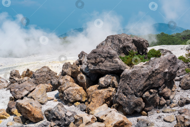 Скачать растения среди глыб застывшей лавы в фумарольном поле на склоне вулкана фотосток Ozero