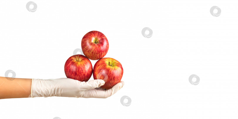 Скачать Рука продавца в перчатке держит большие красные яблоки. Концепция пожертвования продуктов питания, безопасных покупок или доставки на дом. Изолированный на белом фоне. Баннер, шаблон, место для текста фотосток Ozero