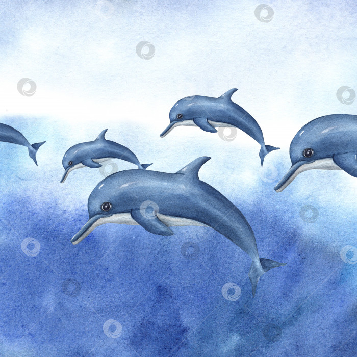 Скачать Акварельный мультфильм с плавающими дельфинами, изолированными на белом фоне. Морскую иллюстрацию можно использовать для декора детской комнаты, детского принта, плаката, узора, наклеек, обоев, упаковки фотосток Ozero