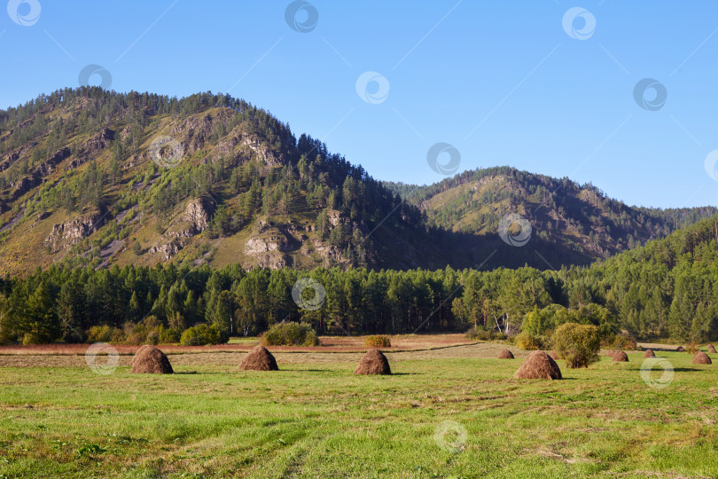 Скачать Сельский пейзаж. Живописные горы, лес. Стога сена на сельскохозяйственном поле летом или ранней осенью. фотосток Ozero