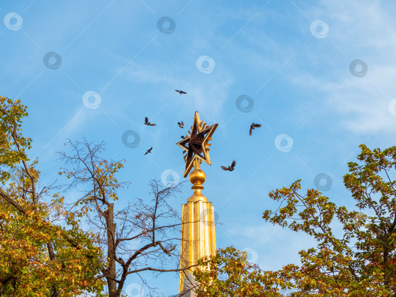 Скачать Черные птицы летают вокруг шпиля ВДНХ, Москва. фотосток Ozero