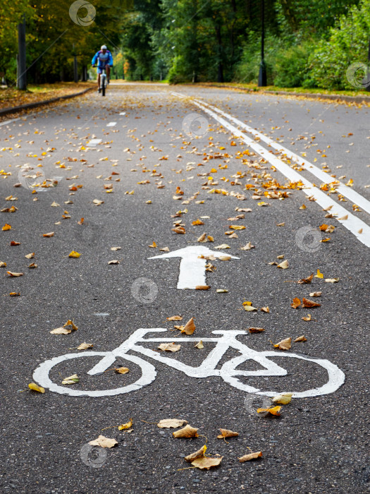 Скачать Велосипедная дорожка осенью. Разметка на асфальте. фотосток Ozero
