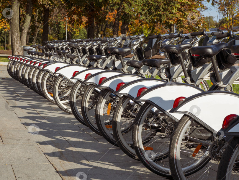 Скачать Осенью городские велосипеды паркуются в ряд. фотосток Ozero