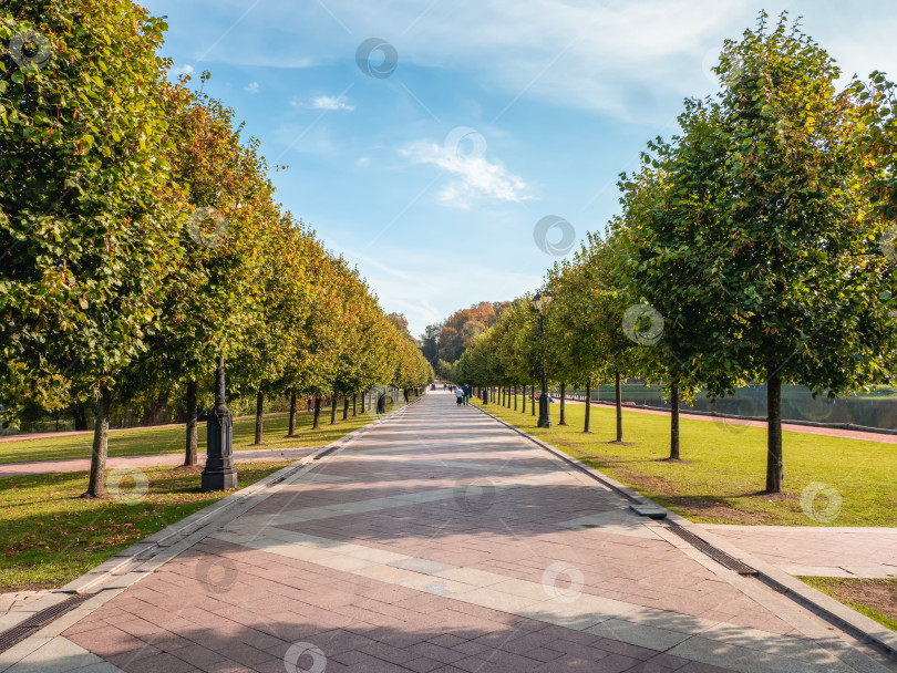 Скачать Тенистая аллея в летнем парке. фотосток Ozero