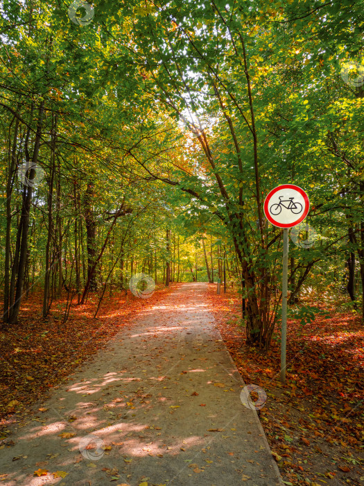Скачать Знак, запрещающий езду на велосипеде по аллее в зеленом парке. фотосток Ozero