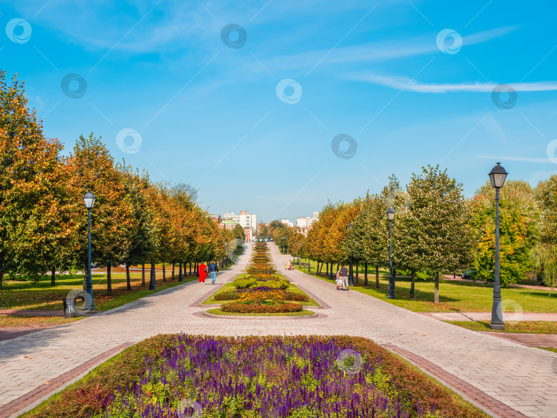 Скачать Цветочная тенистая аллея в летнем парке. фотосток Ozero