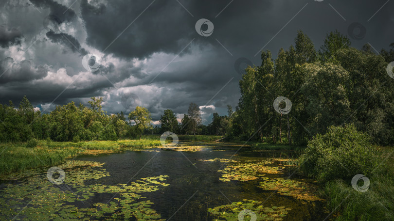 Скачать Летний грозовой пейзаж с рекой, водяными цветами, лесом и темными драматическими облаками фотосток Ozero
