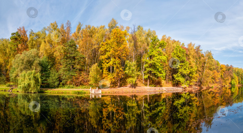 Скачать Панорама осеннего парка. Красивый осенний пейзаж с красными деревьями на берегу озера. фотосток Ozero