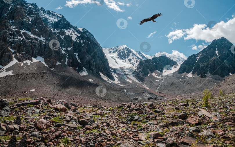Скачать Долина скалистых гор с летящей птицей. фотосток Ozero