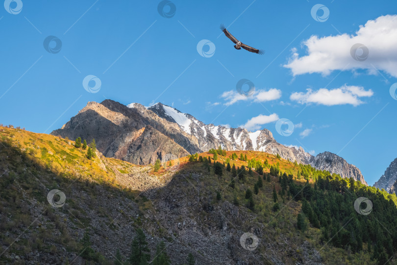 Скачать Красивый горный пейзаж с золотистым светом на склонах заснеженных гор. Живописный горный пейзаж с яркими красками на фоне голубого неба. фотосток Ozero