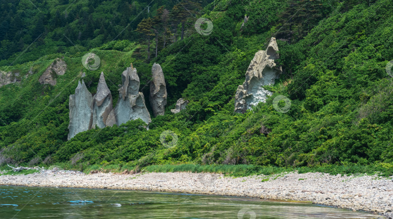 Скачать прибрежный пейзаж, красивые лавовые скалы на зеленом побережье острова Кунашир фотосток Ozero