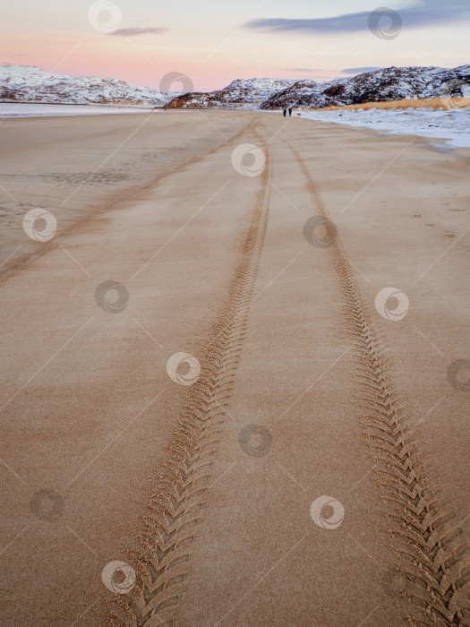 Скачать След протектора шины на морском песке, уходящий вдаль фотосток Ozero
