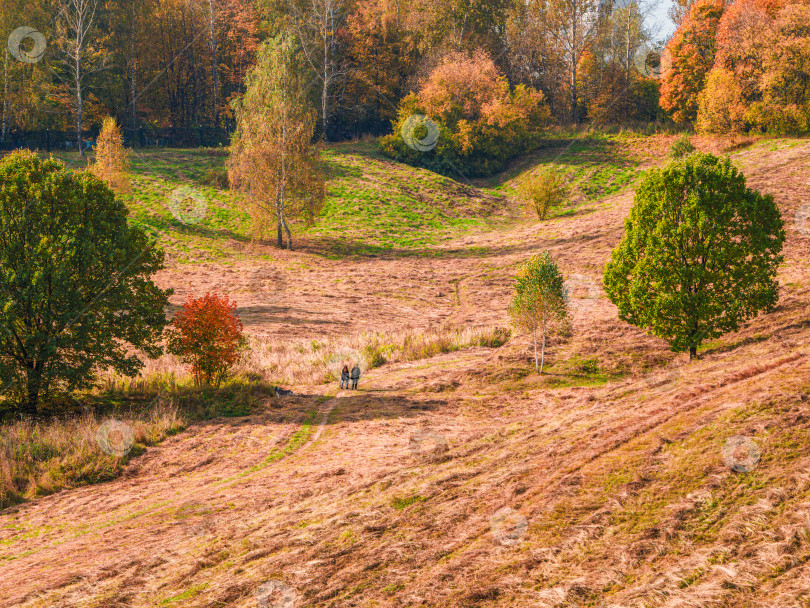 Скачать Холмистый осенний пейзаж с извилистой тропинкой через поле фотосток Ozero