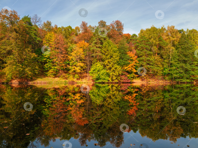 Скачать Красивый осенний пейзаж с красными деревьями на берегу озера. фотосток Ozero